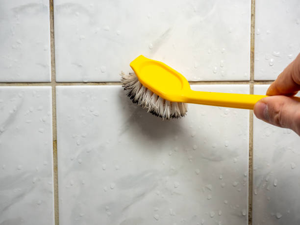 Best Residential Mold Remediation in Parker, FL
