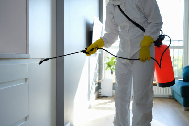 Best Bathroom Mold Remediation in Parker, FL